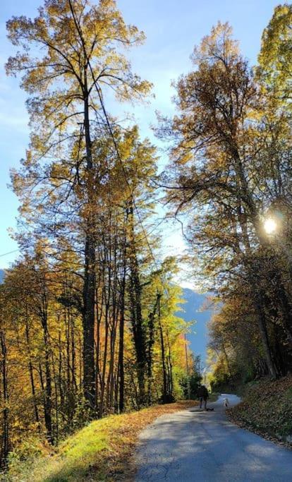 Casa Del Cios Calda E Intima Casetta Immersa Nel Verde Delle Montagne Alpe Basciumo Exterior photo