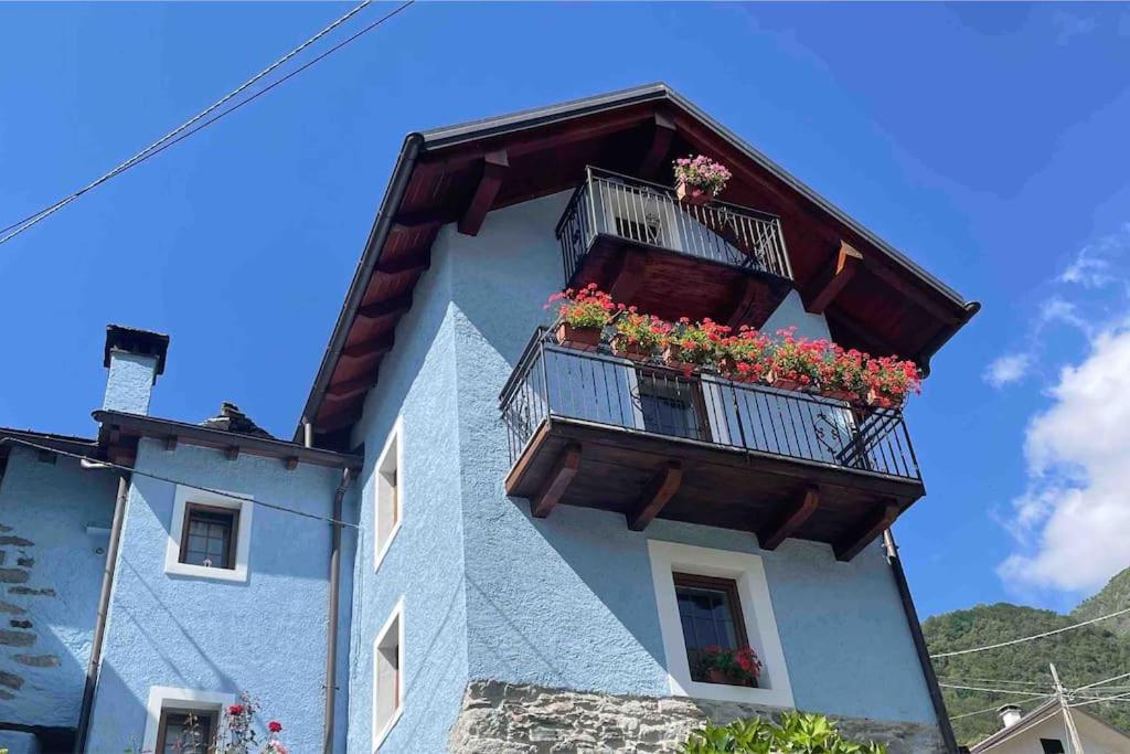 Casa Del Cios Calda E Intima Casetta Immersa Nel Verde Delle Montagne Alpe Basciumo Exterior photo